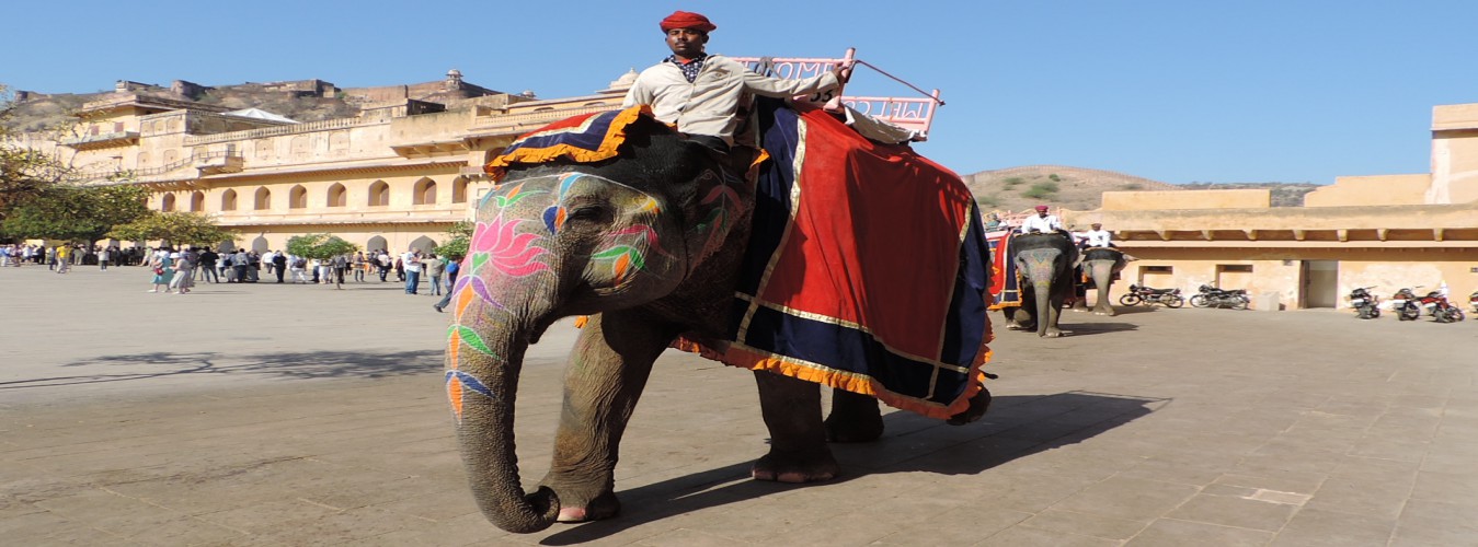 Golden Triangle Itinerary